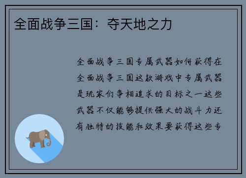 全面战争三国：夺天地之力